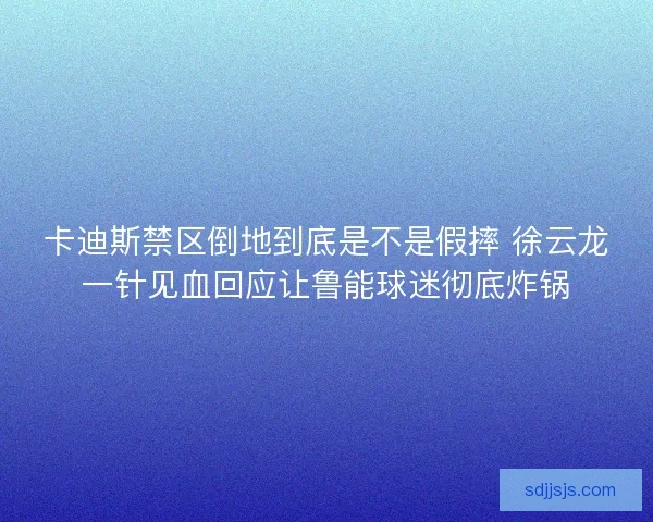 卡迪斯禁区倒地到底是不是假摔 徐云龙一针见血回应让鲁能球迷彻底炸锅